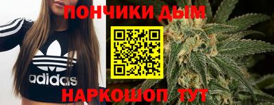 СК Дубна