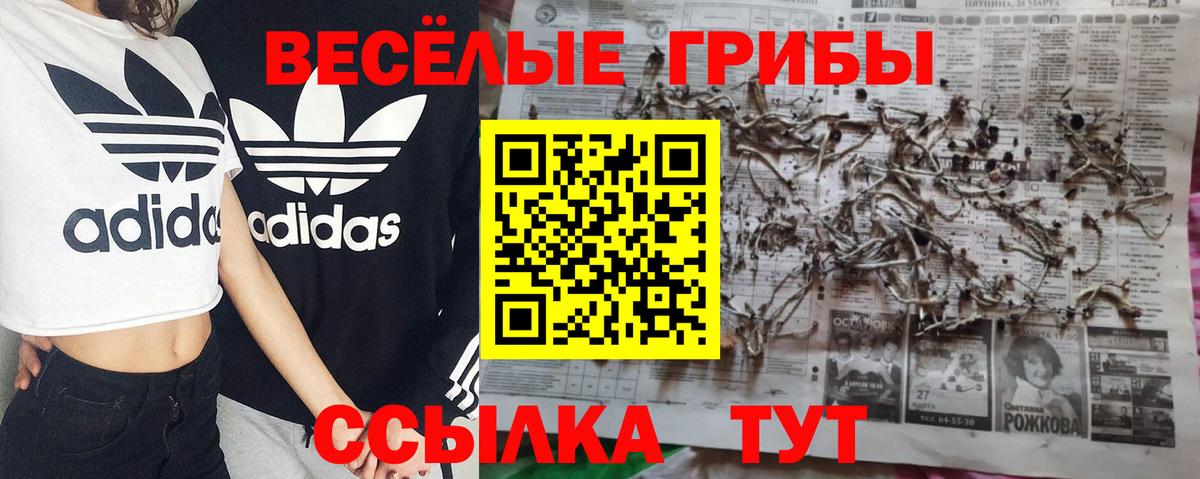 Галлюциногенные грибы MAGIC MUSHROOMS  Псилоцибиновые грибы мицелий  Вход с VPN  Мценск 